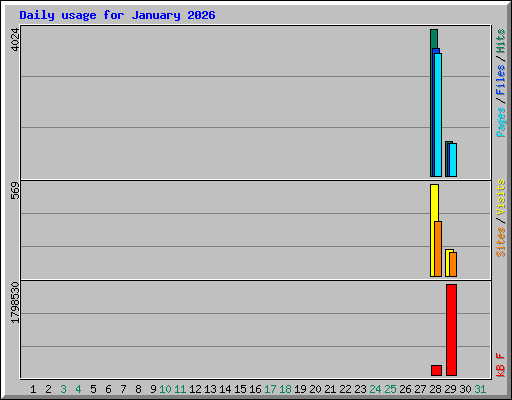 Daily usage for January 2026