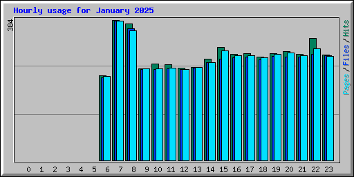 Hourly usage for January 2025