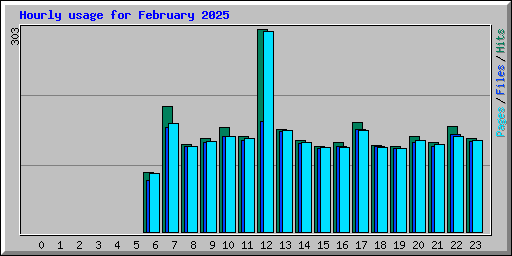 Hourly usage for February 2025