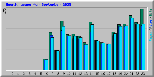 Hourly usage for September 2025