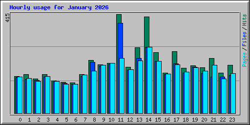 Hourly usage for January 2026